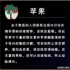 書香云mv